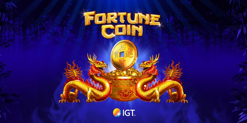 Utvärdering av NV Casino-webbplatsen